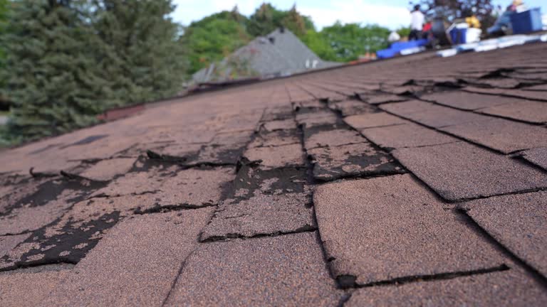 Best Skylights  in Damascus, OR